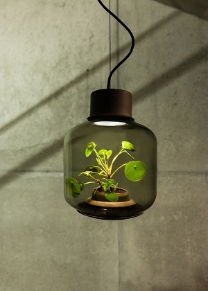 Luminárias, desenvolvidas pelos designers alemães Emilia Lucht e Arne Sebrantke, criam ecossistemas que permitem o crescimento de plantas   - Divulgação