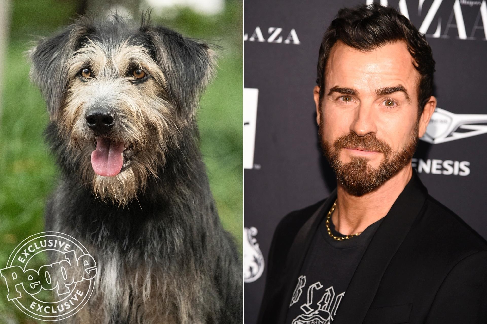 A Dama e o Vagabundo - Justin Theroux - Divulgação/People