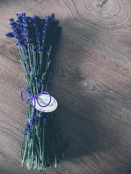 Flor de lavanda - Unsplash - Unsplash