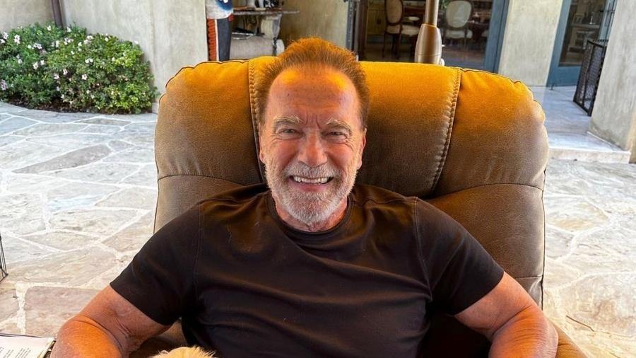 O ator Arnold Schwarzenegger alega que levava a peça de luxo para um leilão de caridade