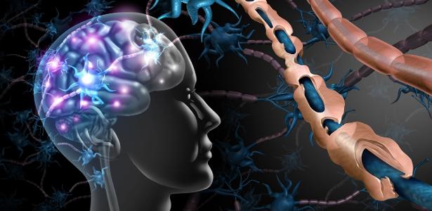 Pesquisa dos EUA descobrem proteína associada ao envelhecimento do cérebro