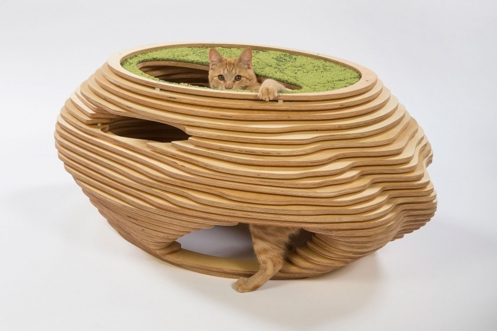 Meghan bob Photography/ Divulgação