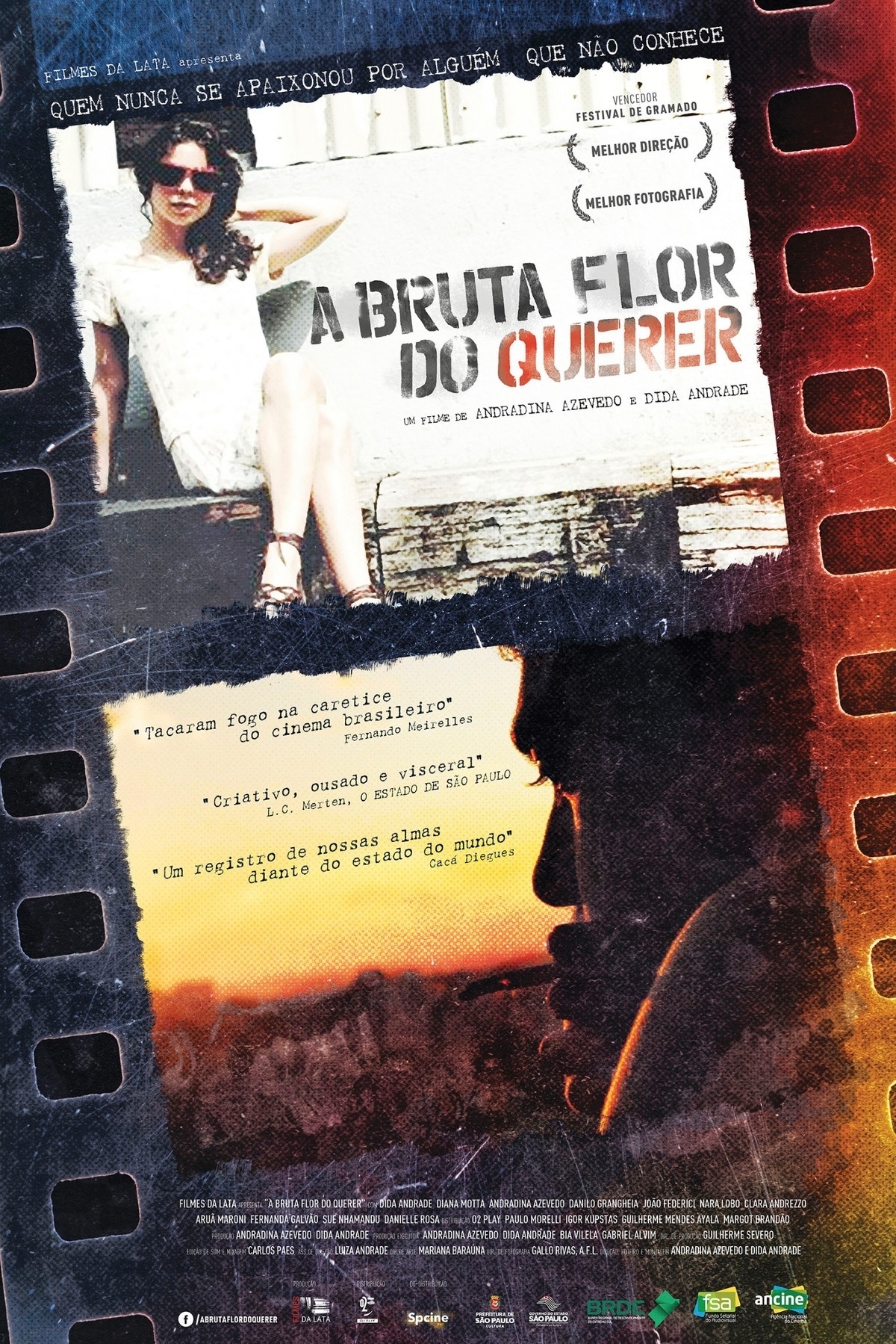 Pôster do filme "A Bruta Flor do Querer" - Divulgação