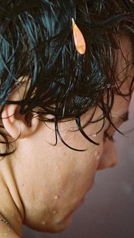 Arte para a capa do álbum solo de Harry Styles - Divulgação