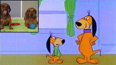 Bidu, Garfield e Pluto: veja as raças dos pets mais famosos da