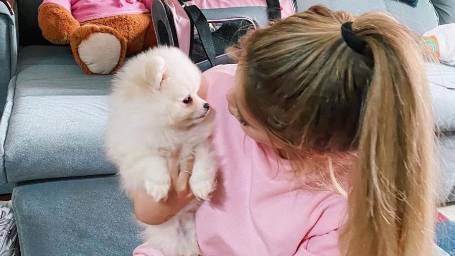 Viih Tube abraça a cachorrinha, Lilo - Instagram/@viihtube