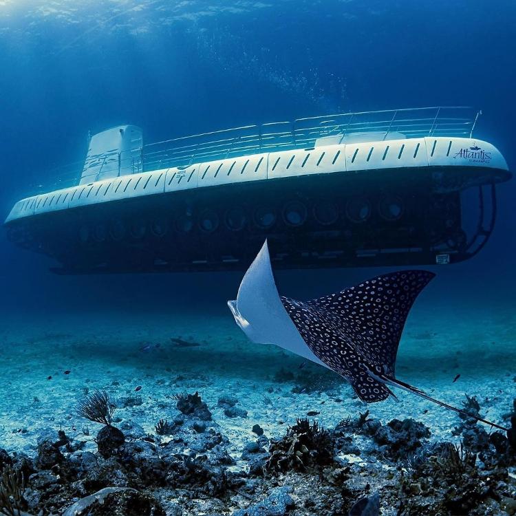 Passeio oferecido pela Atlantis Submarines, em Cozumel