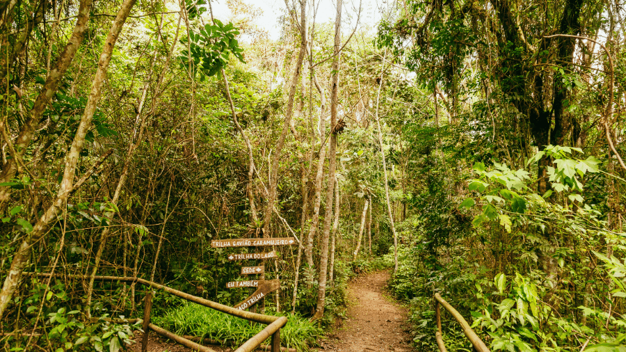 Maior trilha da cidade de São Paulo tem 182 km pela Mata Atlântica até a transição com o Cerrado Maior trilha da cidade de São Paulo tem 182 km pela Mata Atlântica até a transição com o Cerrado