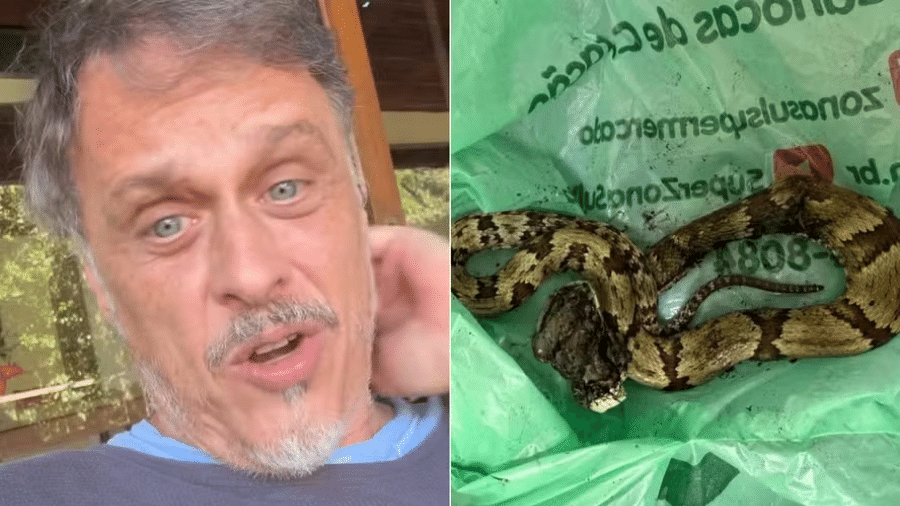 Guilherme Fontes é picado por cobra e precisa de atendimento médico - Instagram