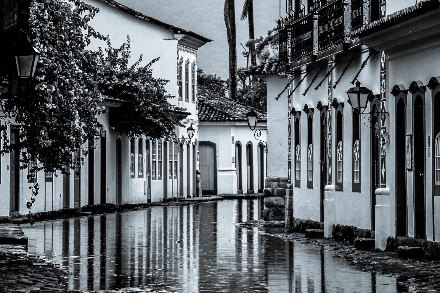 Fotografias vencedoras do Brasília Photo Show 2015/2016 estão no Park Shopping (SAI/SO Área 6580 - Guará) de 3 de março a 30 de outubro, com visitação gratuita. Foto de Felipe Hoffmann - RJ - Felipe Hoffmann