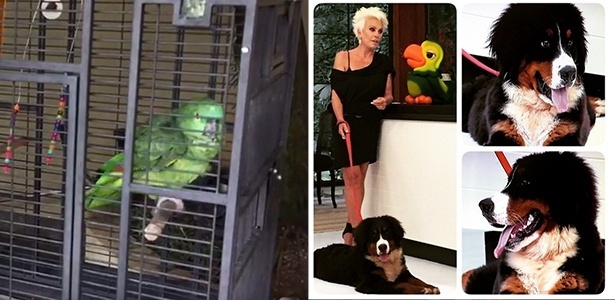 Reprodução/YouTube e Reprodução/Instagram/tom_veiga