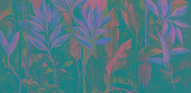 Yara Tupynambá - Pintando a Natureza" celebra as seis décadas de carreira da artista plástica - Divulgação - Divulgação