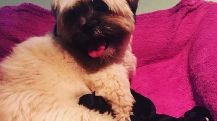 Reprodução/Instagram/tatawerneck