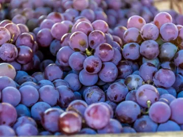 Resveratrol: pra que serve o composto natural e em que alimentos encontrar