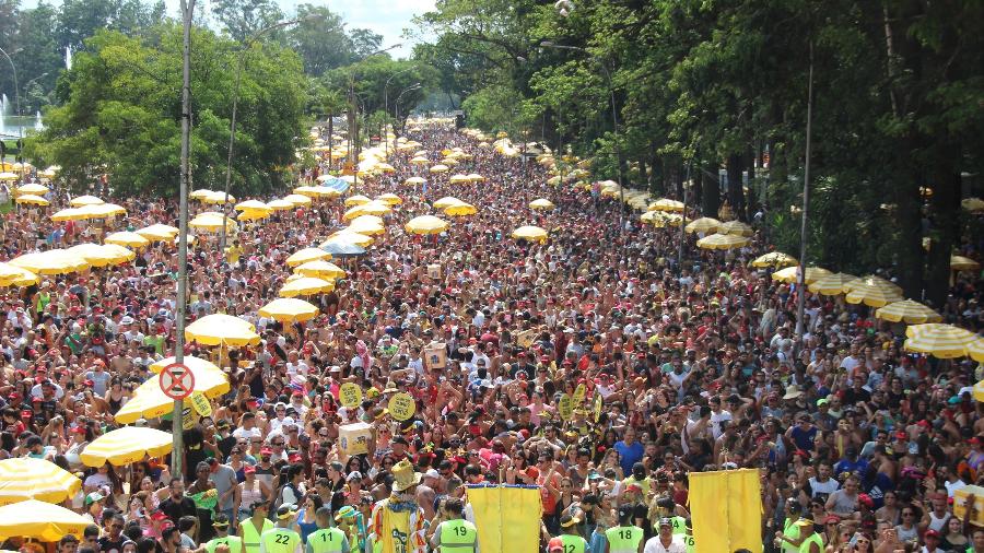 Carnaval em SP terá aproximadamente 15 milhões de foliões  - HENRIQUE BARRETO/FUTURA PRESS/ESTADÃO CONTEÚDO