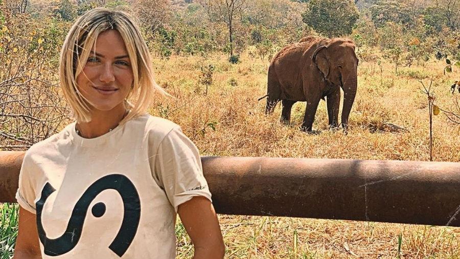 Giovanna Ewbank visita santuário de elefantes e pede que seguidores não frequentem zoológicos - Reprodução/instagram