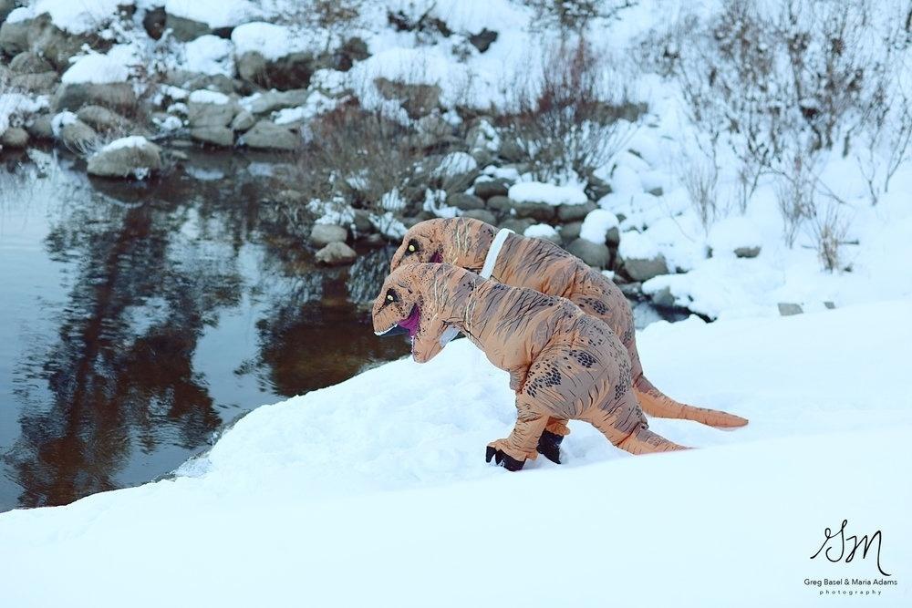 Noivado T Rex - Reprodução/gbmaphotography.com