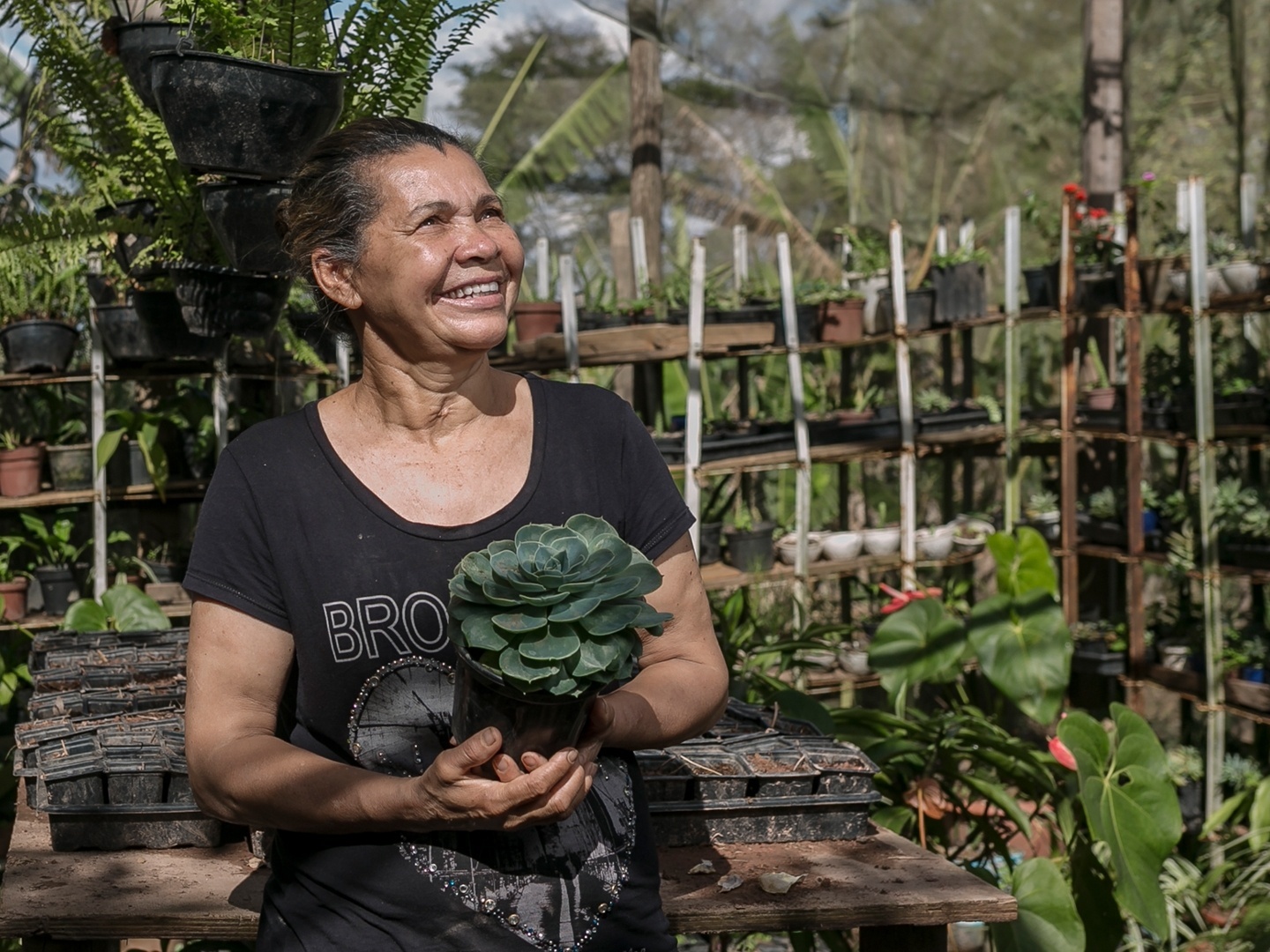 Como favela na zona oeste de SP virou exemplo de bairro sustentável