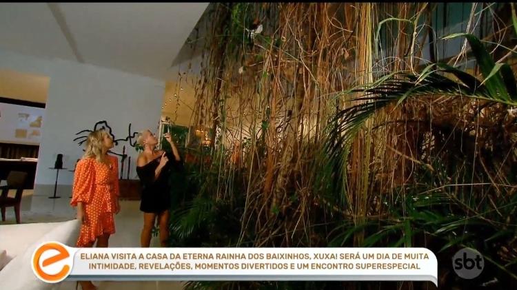 Xuxa tem um viveiro com 24 pássaros no meio da sala de estar de sua mansão - Reprodução - Reprodução