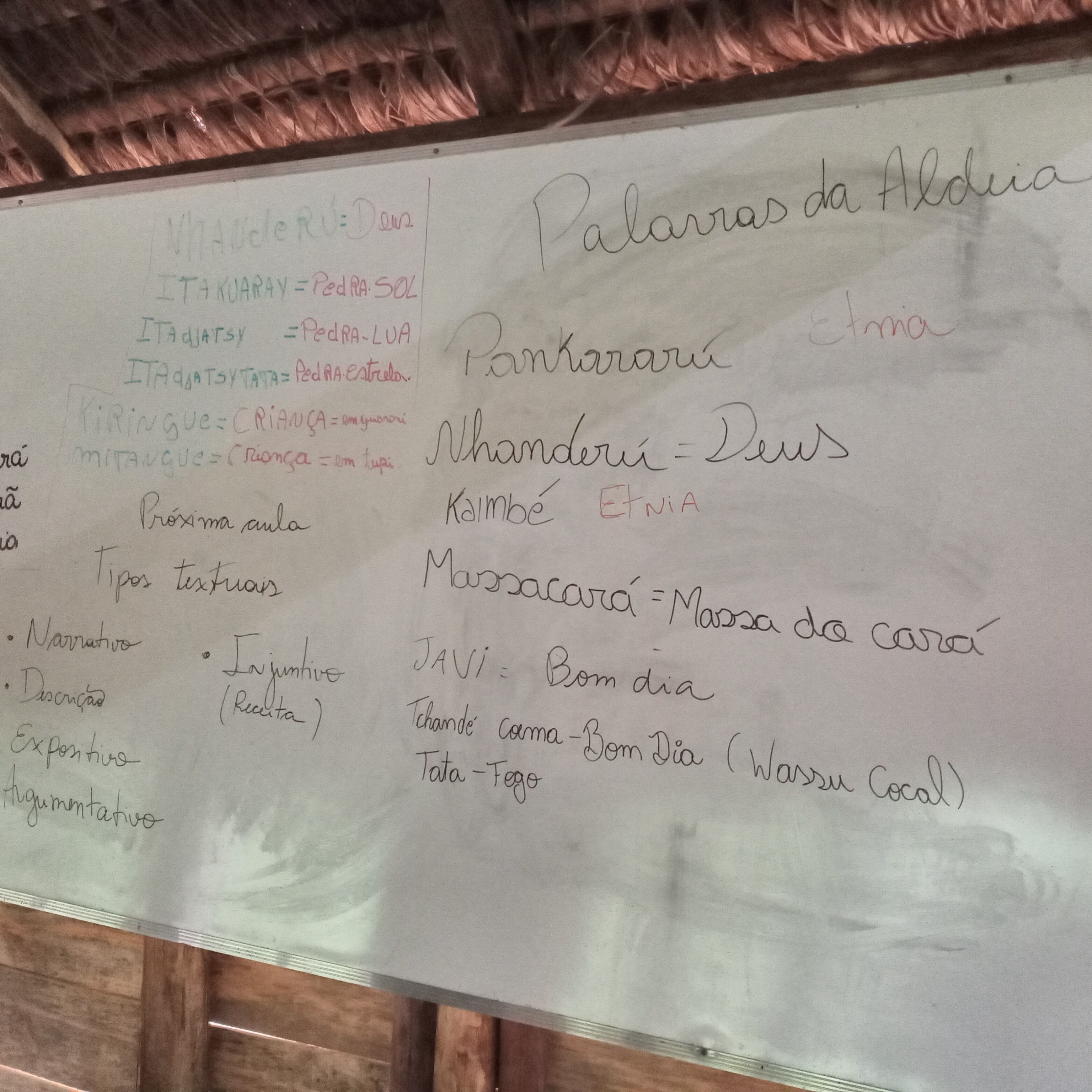 Ação de alfabetização ajuda a preservar tradições indígenas em aldeia de SP  - 19/10/2021 - UOL ECOA