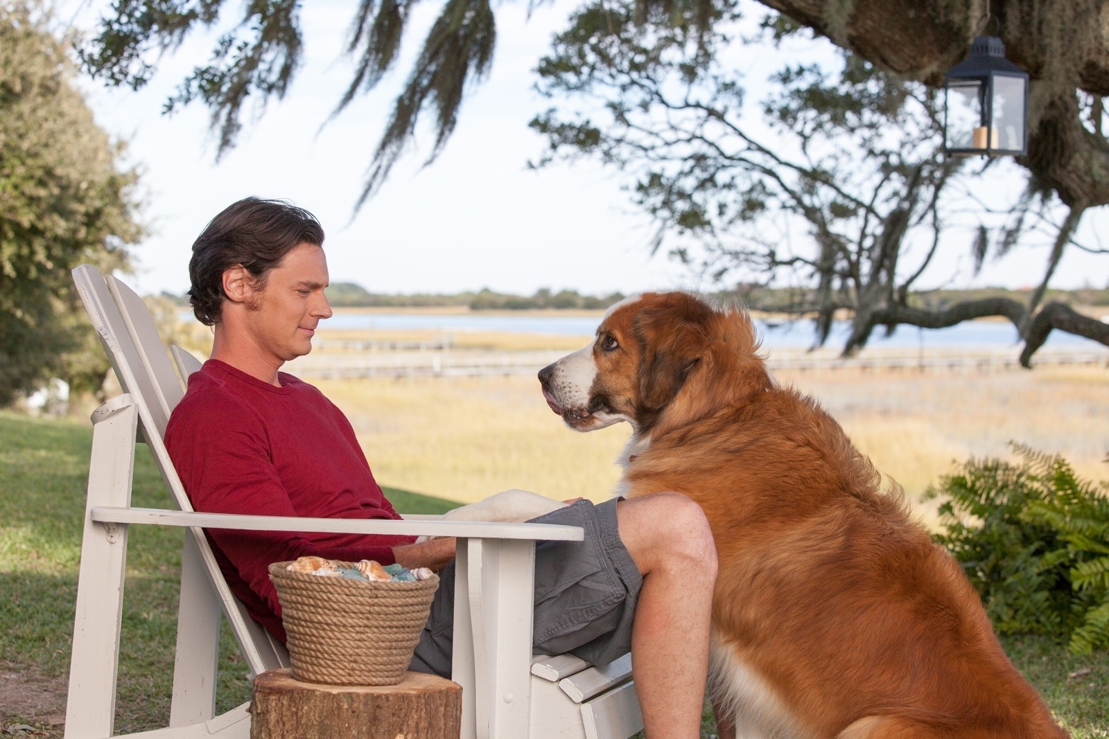 Cena de "A Escolha" - Divulgação