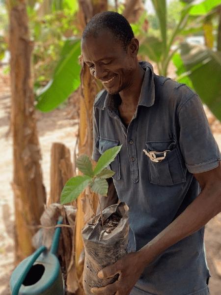Campanha arrecada doações para plantar árvores em regiões degradadas na Costa do Marfim - One Tree Planted/ Divulgação