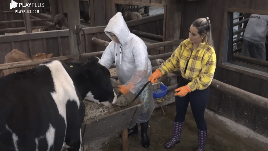 A Fazenda 2022: Lucas e Deolane fazem o trato da vaca - Reprodução/PlayPlus