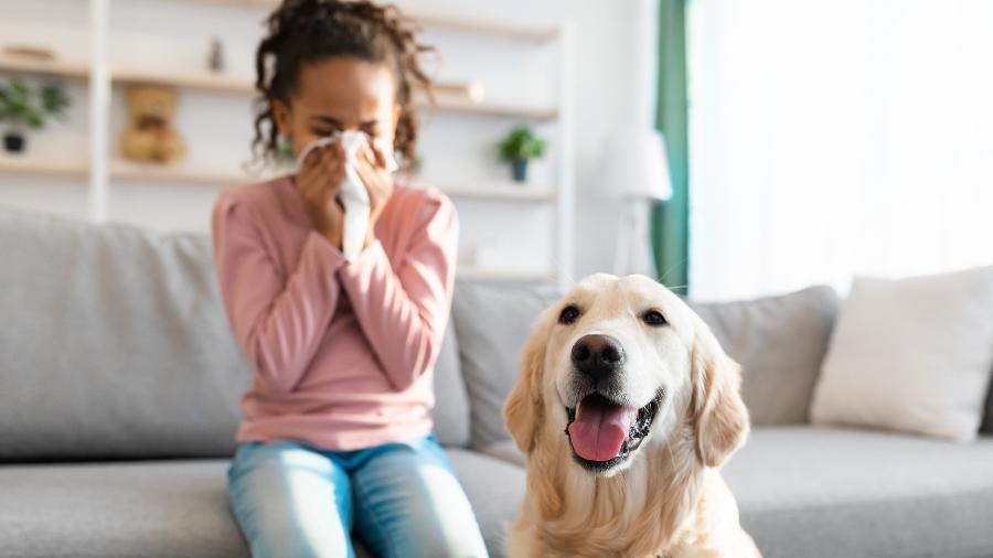 Rinite alérgica a pelos de animais? O que fazer para aliviar os sintomas - Getty Images
