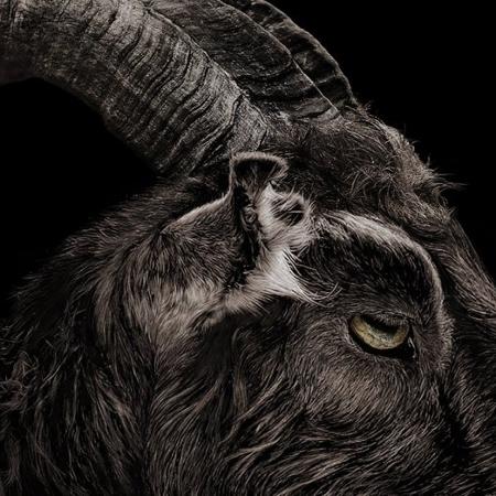 Cena do filme "A Bruxa" - Reprodução - Reprodução