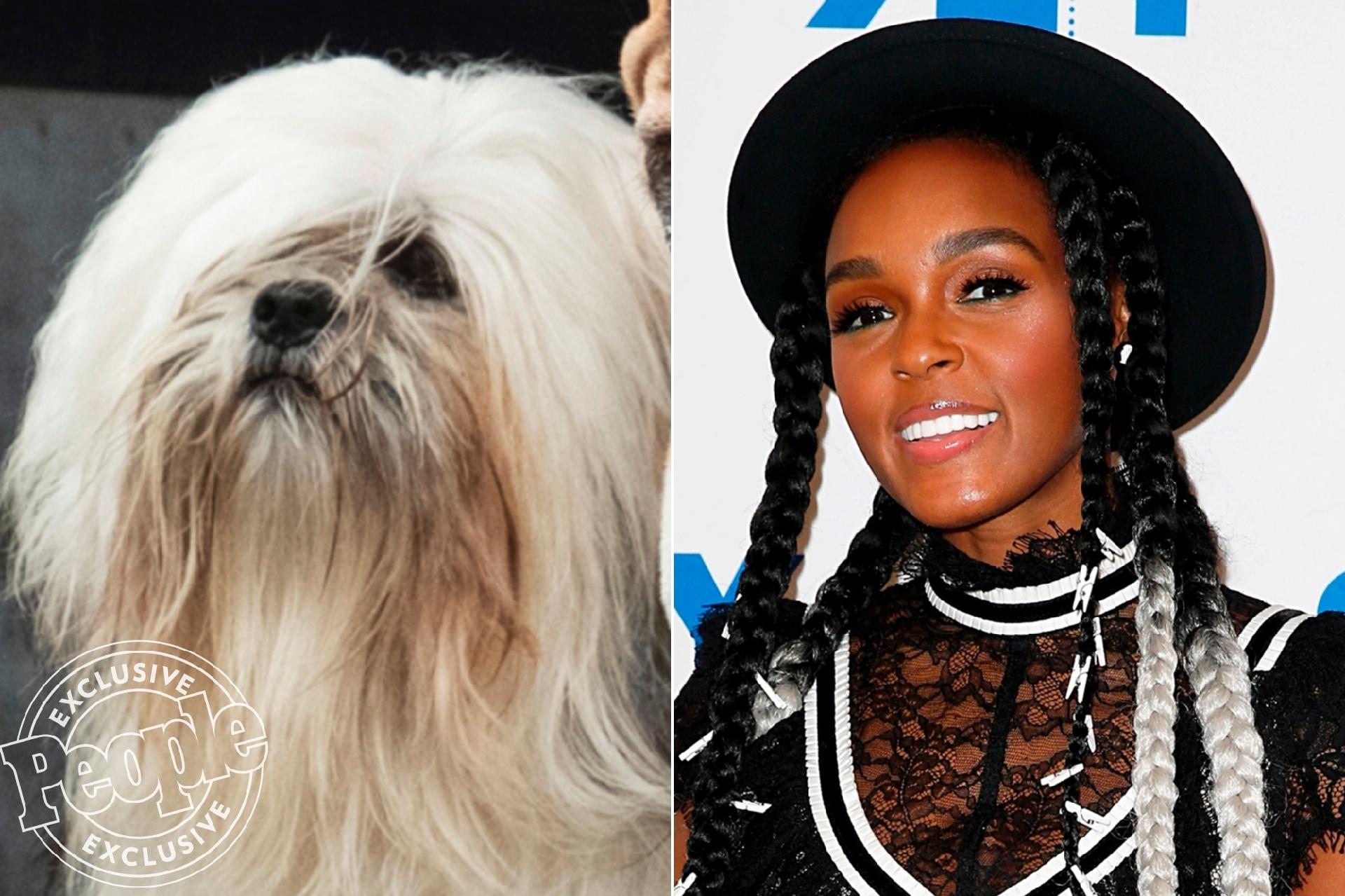 A Dama e o Vagabundo - Janelle Monáe - Divulgação/People