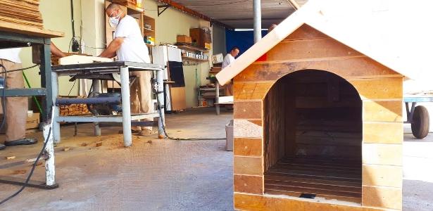 Presos produzem casinhas de cachorro, muletas e móveis no interior de SP - Vimarsana News