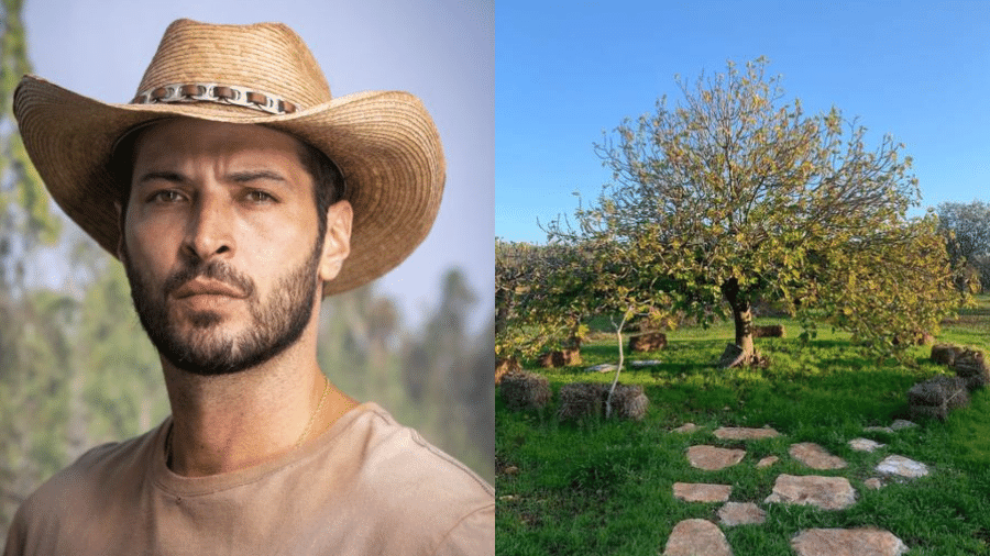 Leandro Lima, de "Pantanal", investe em plantação de olivas na Itália - Reprodução