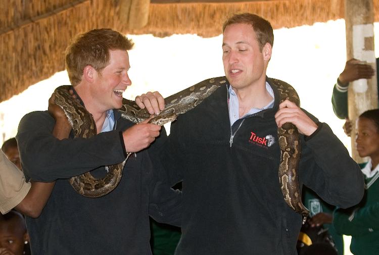 GABORONE - JUNE 15:  Prince William and Prince Harry joke as they pose with an African rock python snake when they visit Mokolodi Education Centre on June 15, 2010 in Gaborone, Botswana.  The Princes are on a joint trip to Southern Africa and will visit projects supported by their respective charities Tusk Trust (Prince William) and Sentebale (Prince Harry). (Photo by Samir Hussein/WireImage) - Samir Hussein/WireImage - Samir Hussein/WireImage