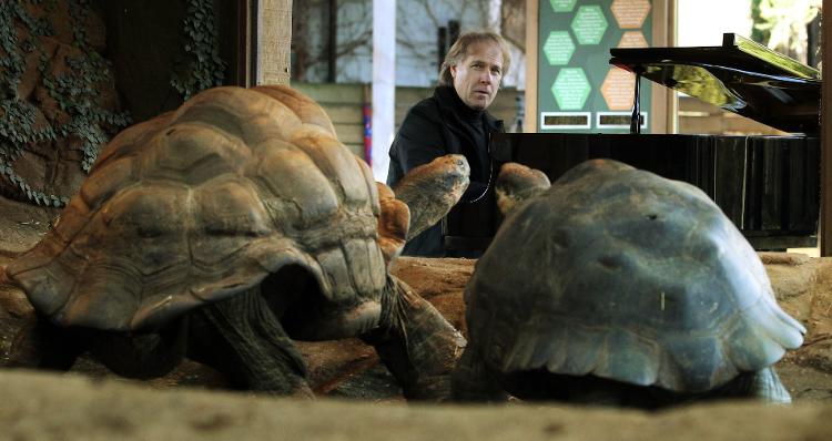 O pianista Richard Clayderman toca piano para a tartaruga de Galápagos, Dirk (70 anos), e sua namorada, Polly, para encorajar os animais ameaçados de extinção a acasalarem, em 2013