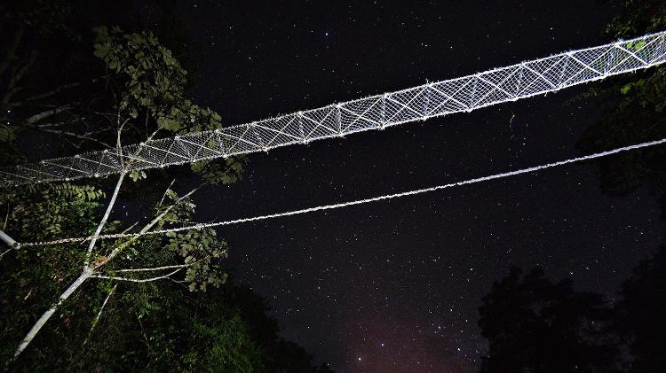 Ponte para travessia de animais na Terra Indígena Waimiri-Atroari instalada pelo Projeto Reconecta