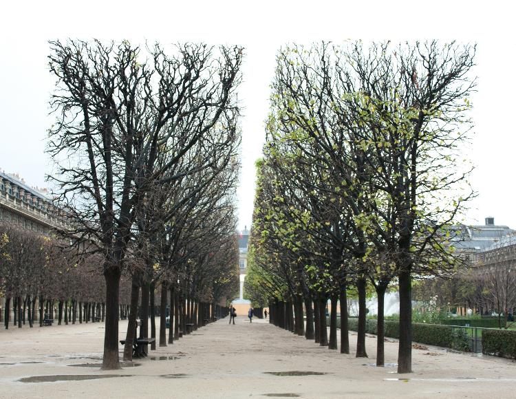 Jardim do Palais Royal