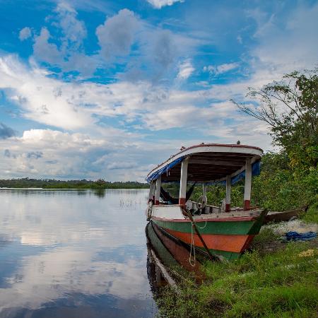 Lago Amanã, no Amazonas