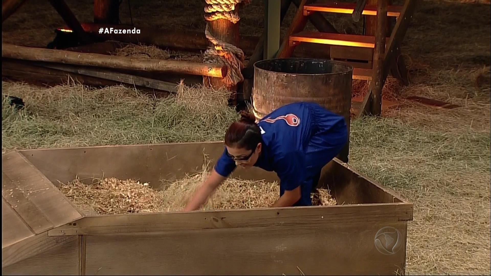 29.out.2015 - As peoas precisavam encontrar cinco chaves, entre outras cinco chaves falsas - Reprodução/Record