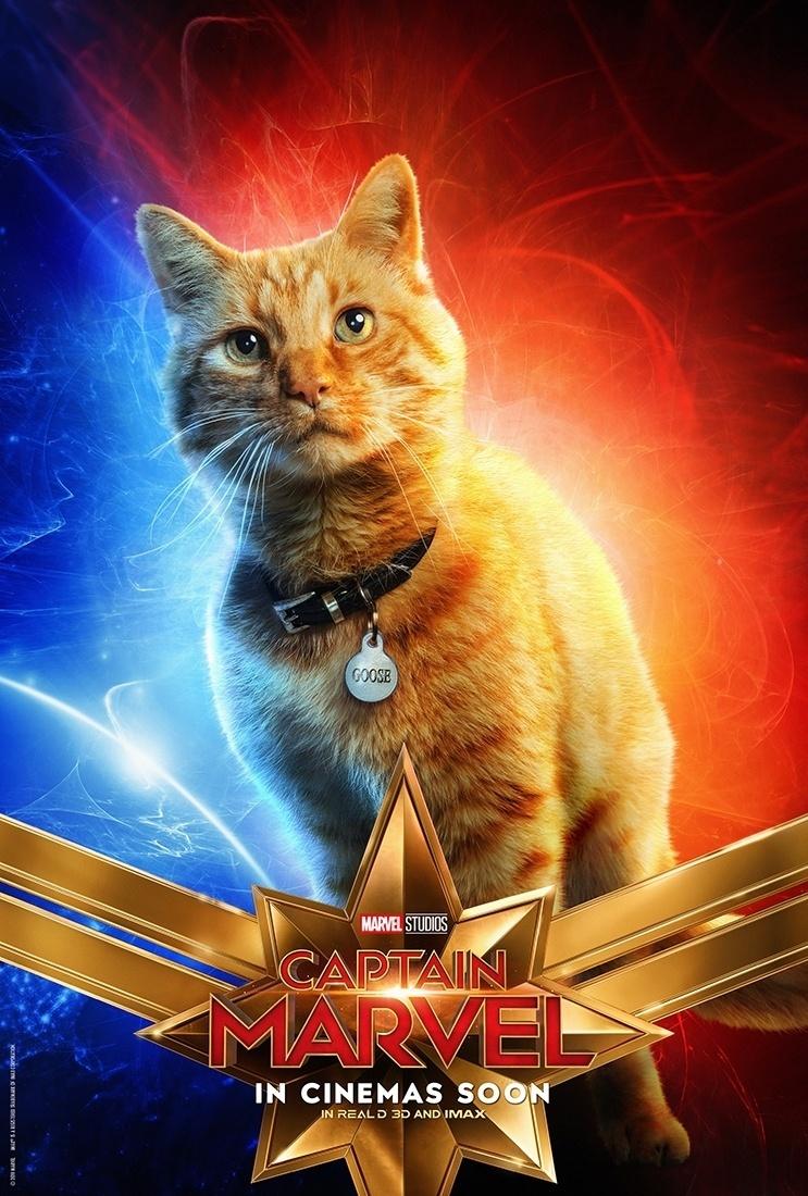 Fofura! O gatinho de Carol Danvers, que no filme se chamará Goose, ganha seu próprio pôster de "Capitã Marvel" - Divulgação