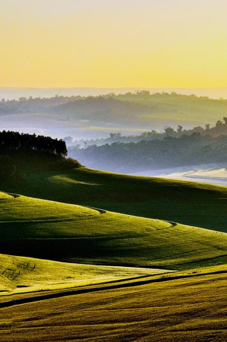 Distrito de Paiquere, em Londrina, Paraná - Getty Images - Getty Images