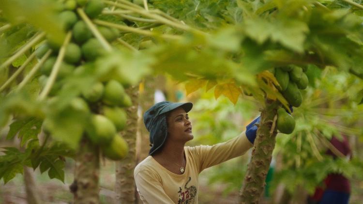 Paloma - Divulgação - Divulgação