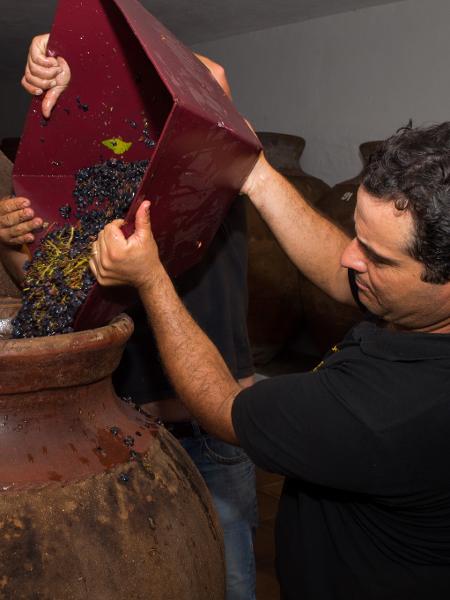 Produção de vinho na talha, no Alentejo, Portugal