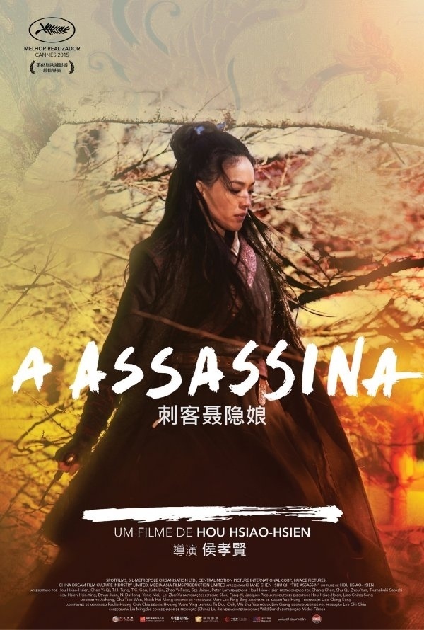 Pôster do filme "A Assassina" - Divulgação