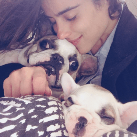Camilla Camargo e seus cachorros - Reprodução/Instagram/camilla_camargo