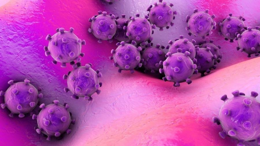 Há agora sete tipos de coronavírus conhecidos que infectam humanos - Getty Images