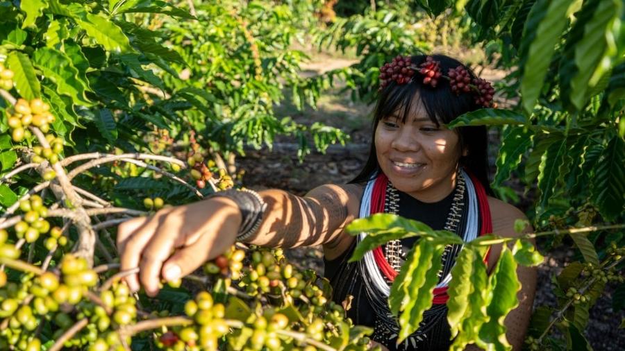Celesty Suruí, barista e cafeicultora indígena, moradora da Terra Indígena Sete de Setembro.