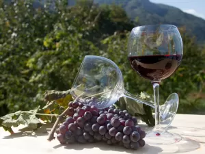 Nero d'Avola é a uva mais típica da Sicília. Mas o vinho é bom?