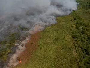 Pantanal supera em um único dia o total de queimadas de julho de 2023 