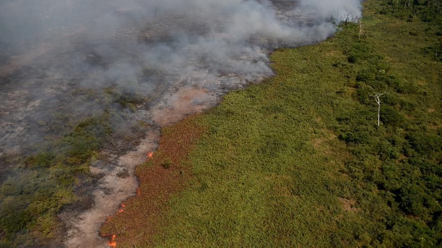 Incêndio no Pantanal na região de Corumbá (MS)