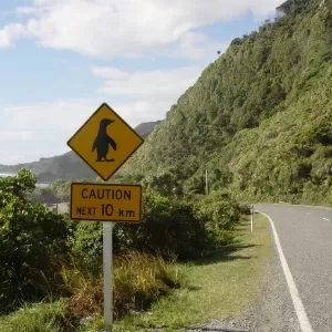 PRINCIPAIS PLACAS DE TRANSITO NOS ESTADOS UNIDOS 